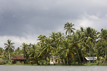 Image showing Houses and palmtrees in Kerala, South India