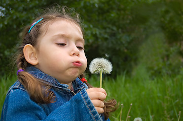 Image showing Little girl blowing a dandelion