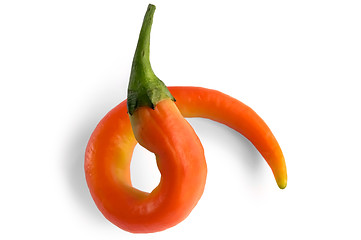 Image showing Curl orange hot pepper