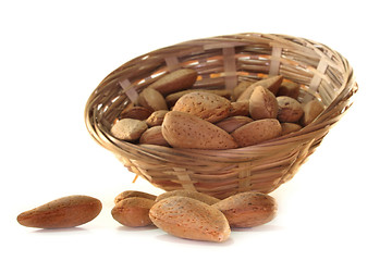 Image showing Almond