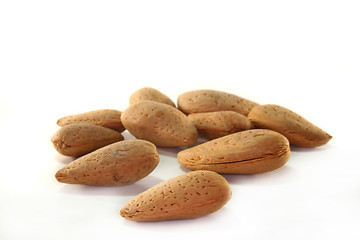 Image showing Almond