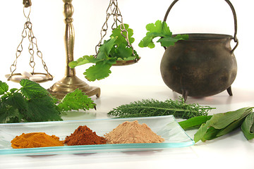 Image showing Homeopathy