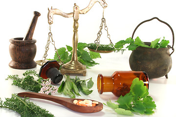 Image showing Homeopathy