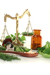 Image showing Homeopathy