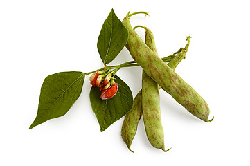 Image showing Green beans with a flower