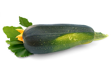 Image showing Green zucchini