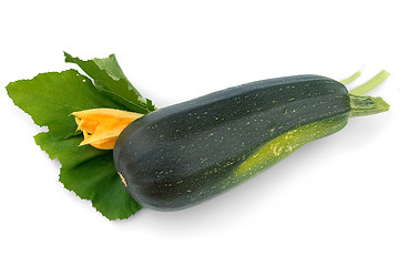 Image showing Green zucchini and flower