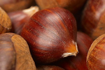 Image showing Chestnuts