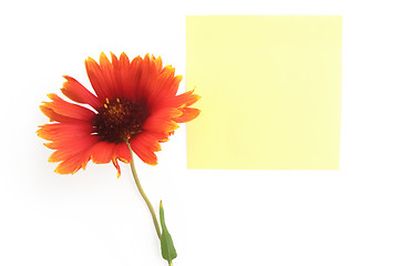 Image showing Paper leaf with orange flower