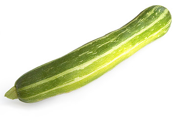 Image showing Squash