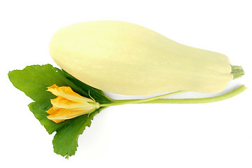 Image showing Squash with flower