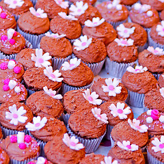 Image showing Chocolate cupcakes