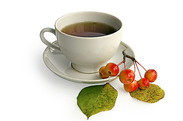 Image showing Tea in a white bowl with apples