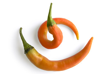 Image showing Two orange hot pepper pod