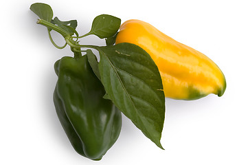 Image showing Two sweet pepper