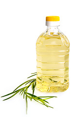 Image showing Vegetable oil with tarragon