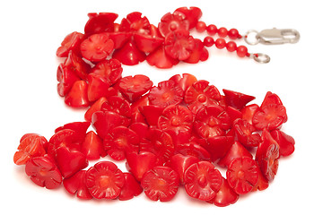 Image showing Red Coral Beads isolated