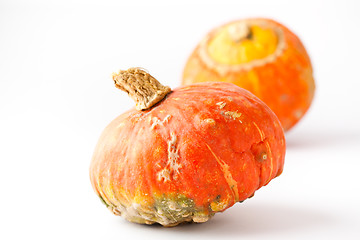 Image showing Pumpkins