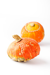 Image showing Pumpkins