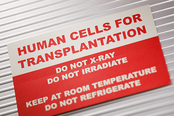 Image showing Human Cells for Transplantation