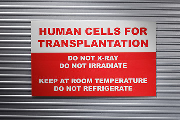 Image showing Human cells for transplantation