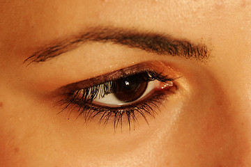 Image showing Brown eye