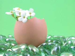 Image showing Easter decoration