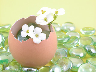 Image showing Easter decoration