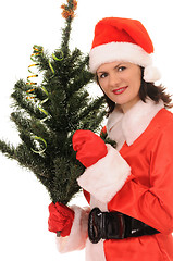 Image showing woman  santa