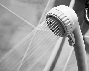 Image showing Showerhead