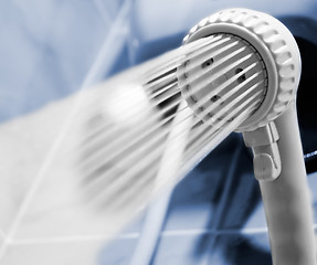 Image showing Showerhead