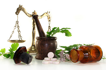 Image showing Naturopathy