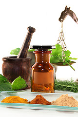 Image showing Naturopathy