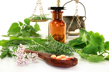 Image showing Naturopathy