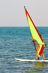 Image showing Windsurfing