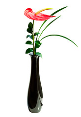 Image showing Red Anthurium flower in a vase