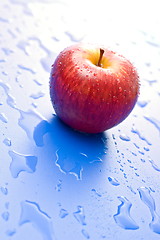 Image showing One wet red apple