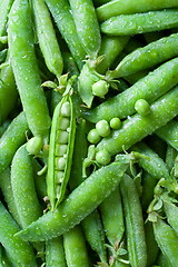 Image showing Washed green peas