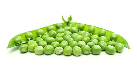 Image showing Green pea pod and seeds