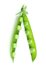 Image showing Green pea pod