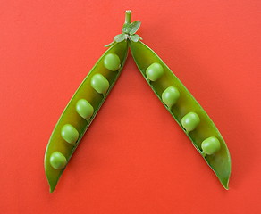 Image showing Green pea pod