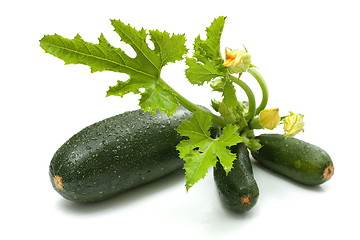 Image showing Zucchini bunch