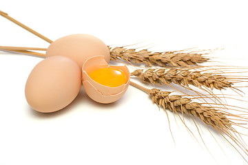 Image showing Eggs and wheat ear