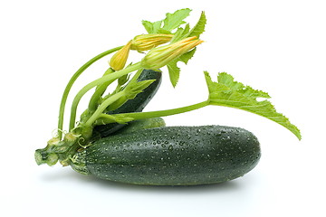 Image showing Zucchini bunch