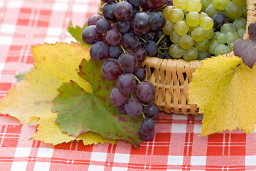 Image showing Grapes in small basket