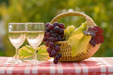 Image showing Wine and grape