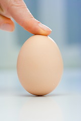 Image showing Egg