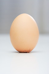 Image showing Egg of Columbus