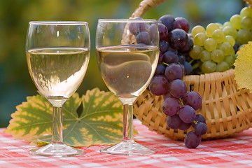 Image showing Wine and grape