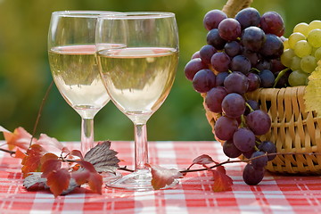 Image showing Wine and grape